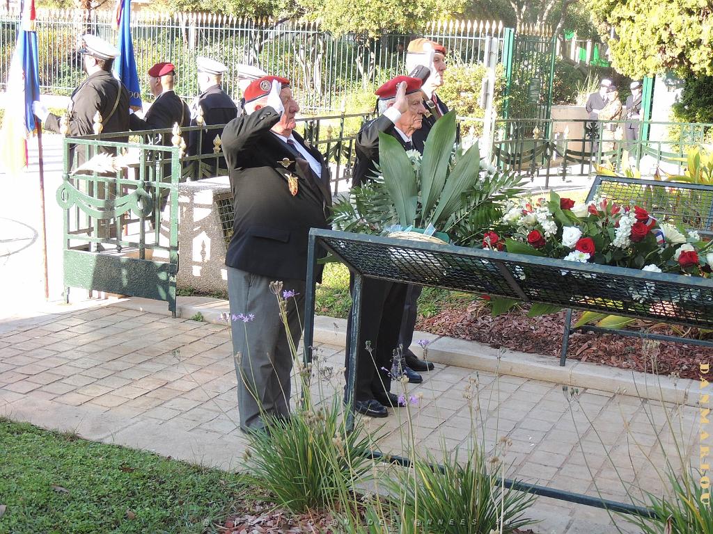 2024 12 05 TOULON HOMMAGE AUX MORTS POUR LA FRANCE EN AFN  (58).jpg
